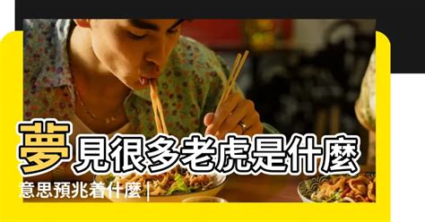 夢到三隻老虎|夢見老虎